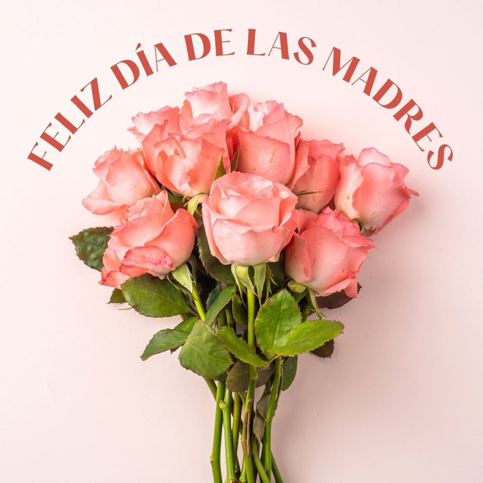 TROME | Memes e imágenes del Día de la Madre