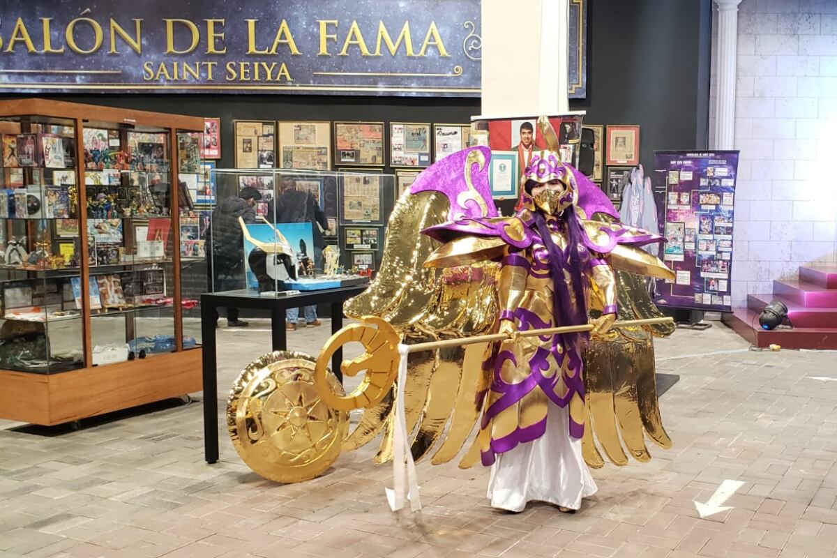 Hay dos museos en Plaza Norte y Mall del Sur, dedicados al anime japonés