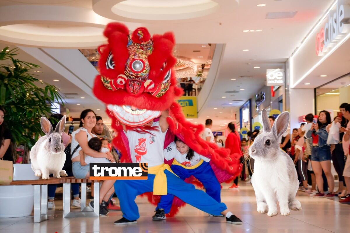 Empiezan a buscar al 'conejito'. (Isabel Medina / Compos. Trome)