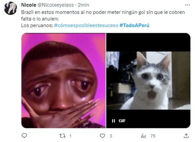 Hinchas de la Blanquirroja reaccionaron con memes tras el fin del primer tiempo del Perú vs. Brasil