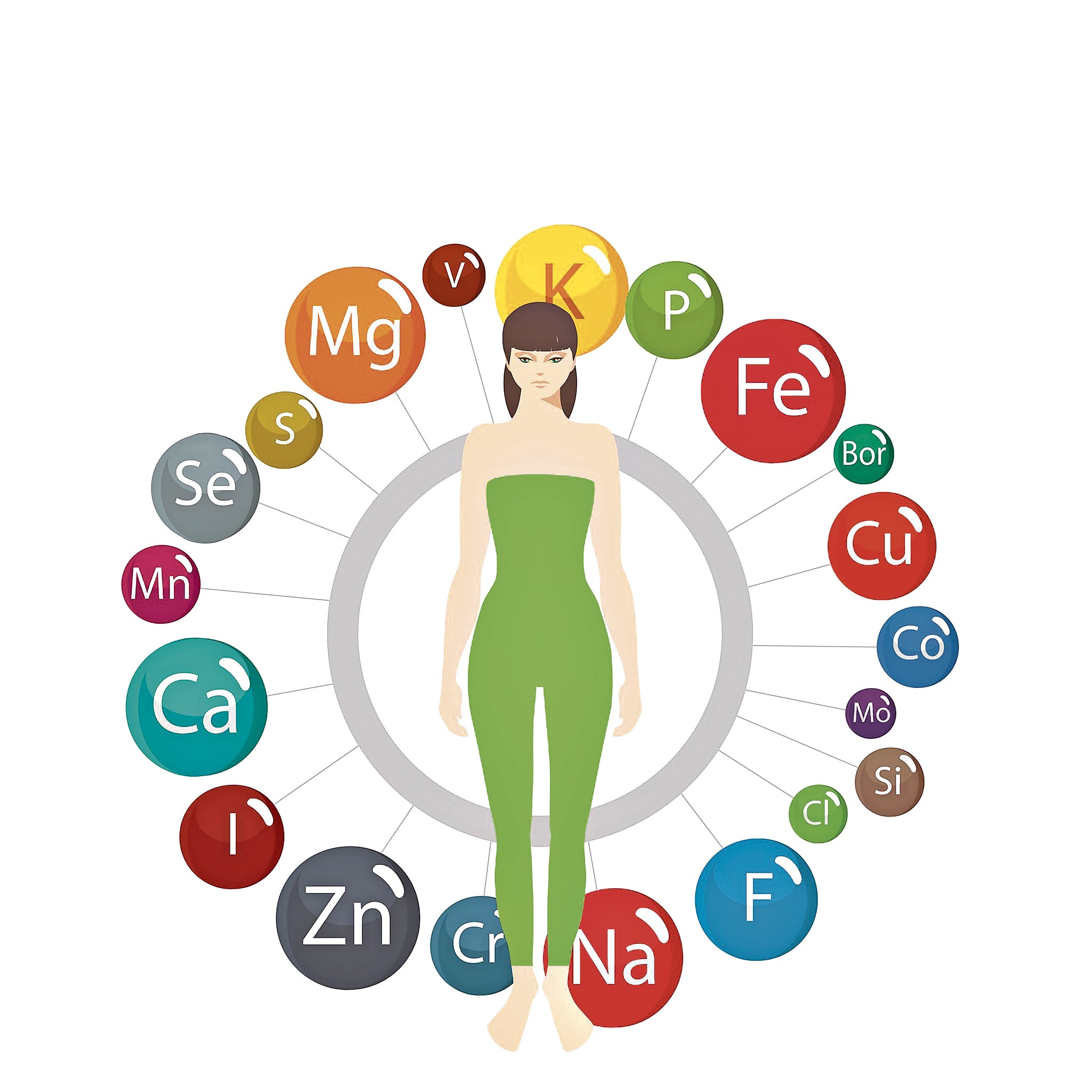 Los minerales del cuerpo humano se clasifican en dos grupos y se hallan en diversos órganos. Foto: Istock