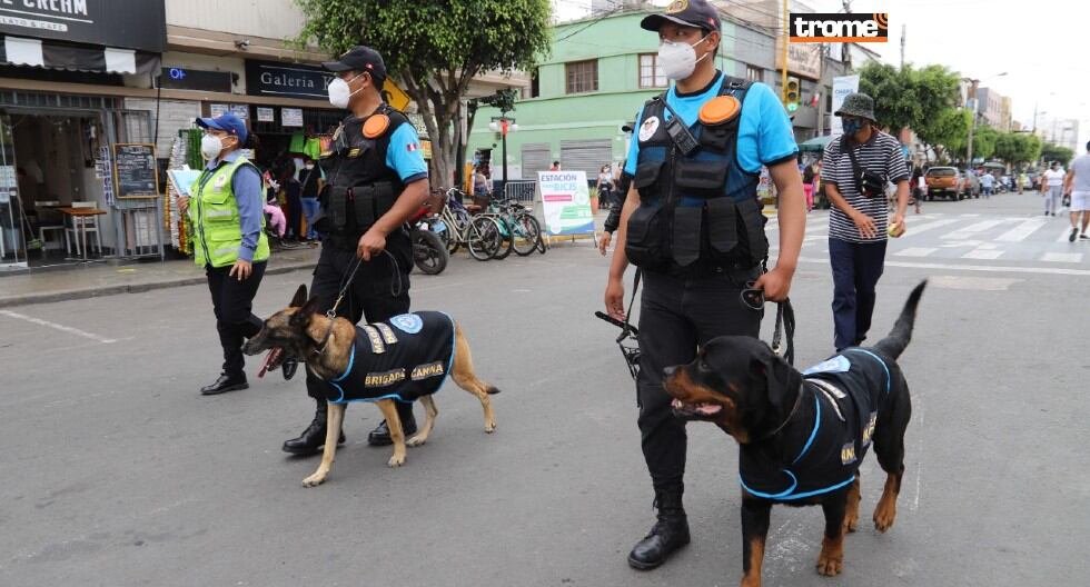 Ozil, perrito del serenazgo de Magdalena, sorprende con su habilidad para atrapar la pelota y tapar el arco.. (Trome)
