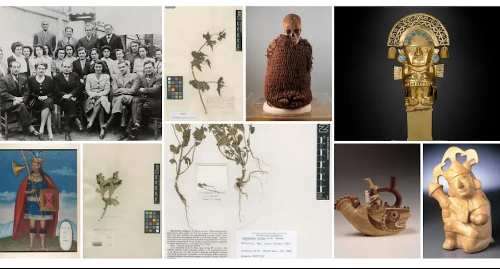 Google Arts & Culture permite explorar riquezas y maravillas del Perú.