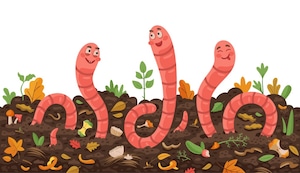 ¿Respiran los gusanos que viven bajo la tierra?