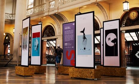 Artista peruano expone su arte sobre el cambio climático y causa sensación en Brasil