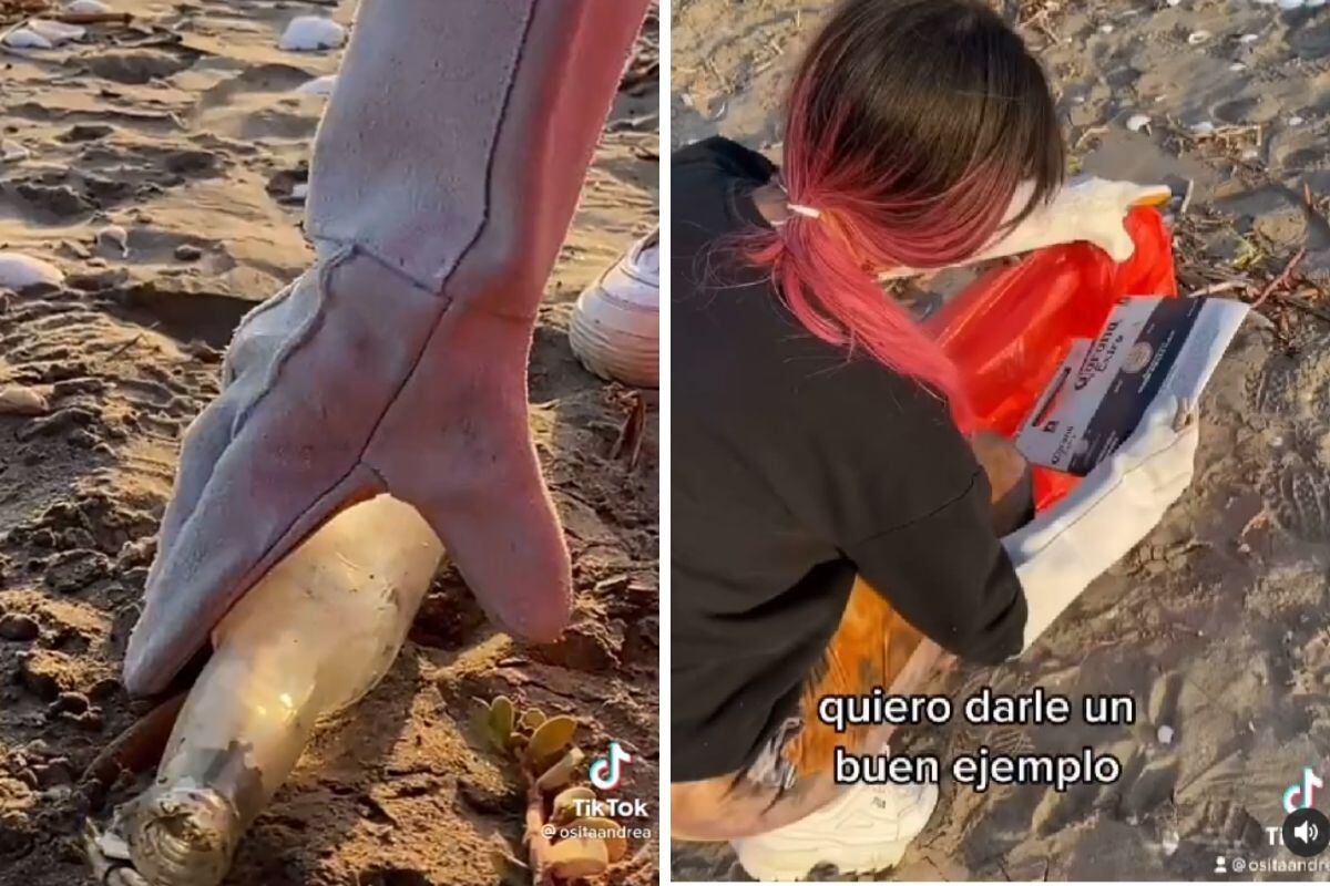 Quiere ser un ejemplo y que más personas repliquen estas acciones en sus parques, playas y ríos.