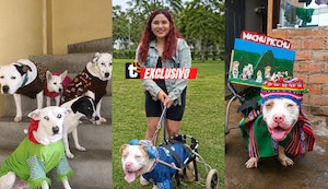 “Seguiré rescatando perros de la calle”: la historia de la mujer que dedica su vida a salvar animales