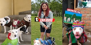 Un inesperado incidente puso en evidencia el trabajo silencioso que realiza esta rescatista de Los Olivos. Foto: Composición / Archivo TikTok 'Angelito sobre ruedas'.