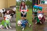 “Seguiré rescatando perros de la calle”: la historia de la mujer que dedica su vida a salvar animales