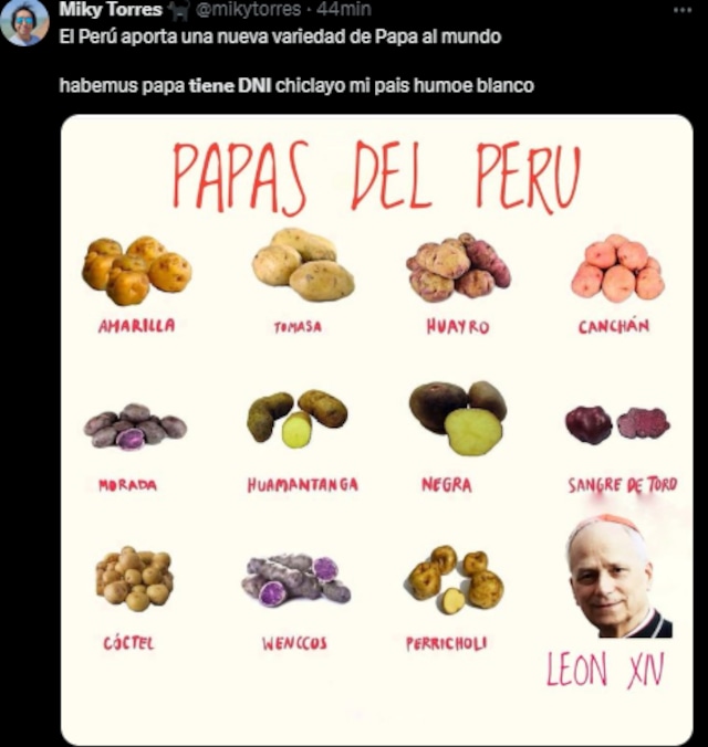 Memes del papa peruano, León XIV
