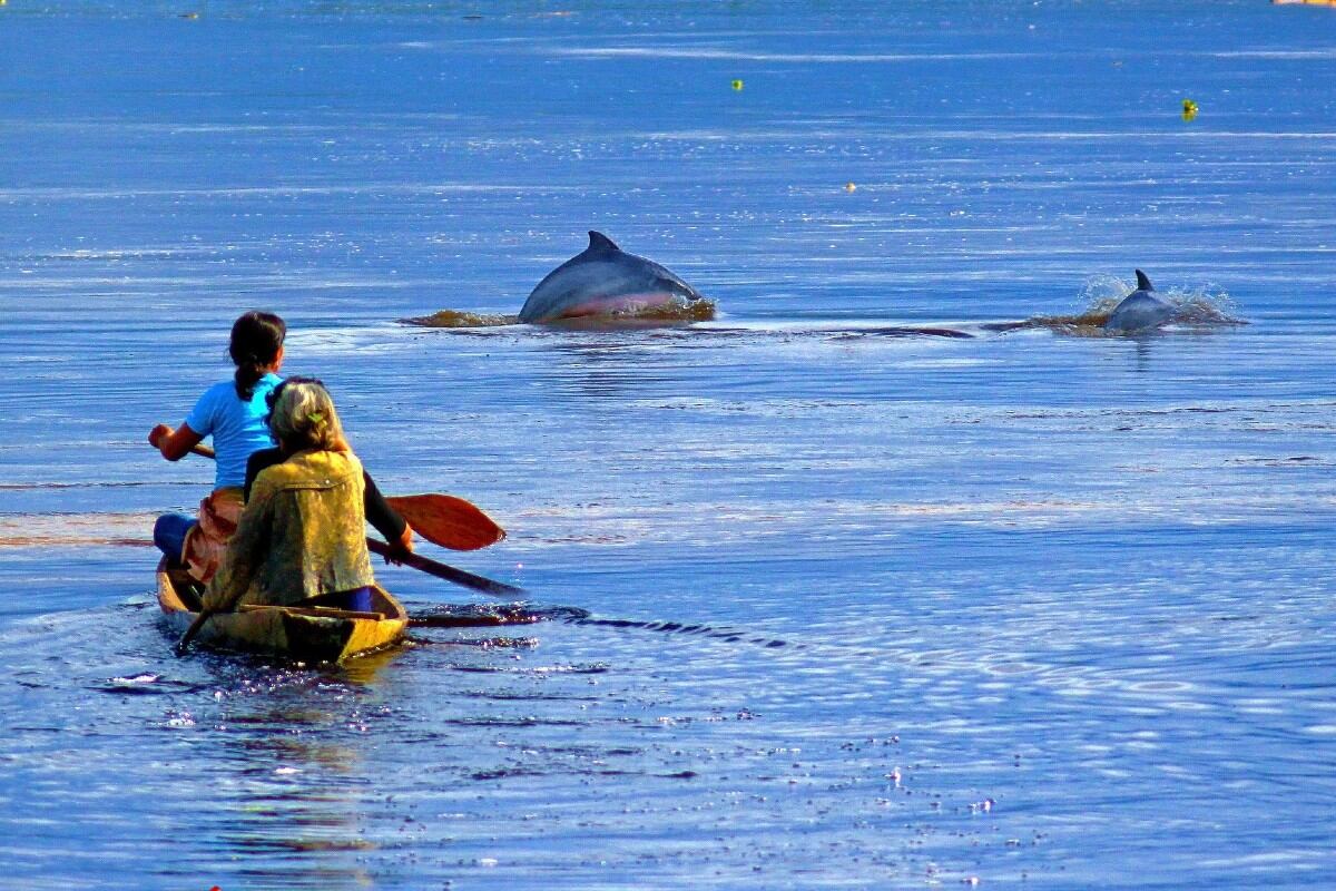 Espacios naturales albergan biodiversidad de fauna y flora, y son también escenarios de historias turísticas con sostenibilidad. (Sernanp).