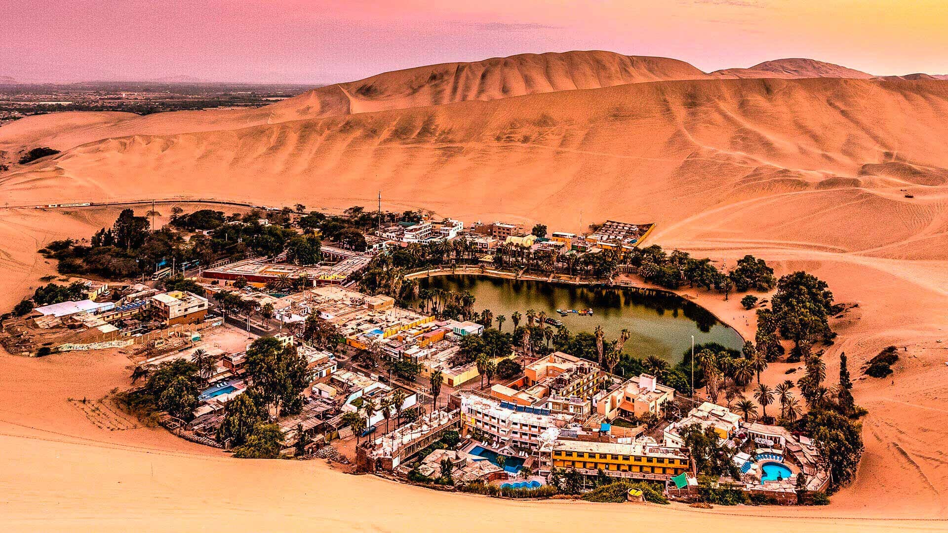 La región de Ica es famosa por sus paisajes contrastantes. Desde las dunas del desierto de Huacachina hasta las extensas áreas de cultivo de viñedos, esta región ofrece una experiencia única. Además, el Museo Regional de Ica alberga impresionantes momias y artefactos de las antiguas culturas que habitaron la región. (Foto: Perú Travel).