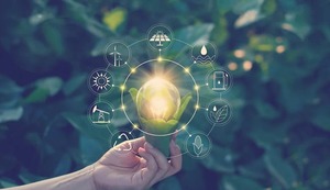 Día del emprendimiento: descubre las startups que combaten el impacto del cambio climático