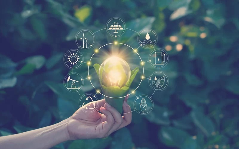 “La reducción de la huella de carbono en Perú es crucial para proteger el medio ambiente, preservar la biodiversidad, promover la sostenibilidad económica y cumplir con los compromisos internacionales para abordar el cambio climático”, agregó Cristián Bustos, CEO de Beeok.