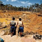 Crece la minería ilegal y arrasa con Tambopata