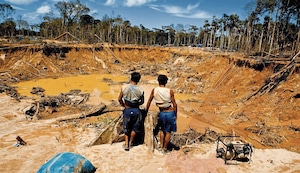 Crece la minería ilegal y arrasa con Tambopata