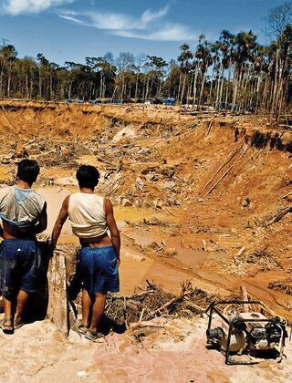 Crece la minería ilegal y arrasa con Tambopata