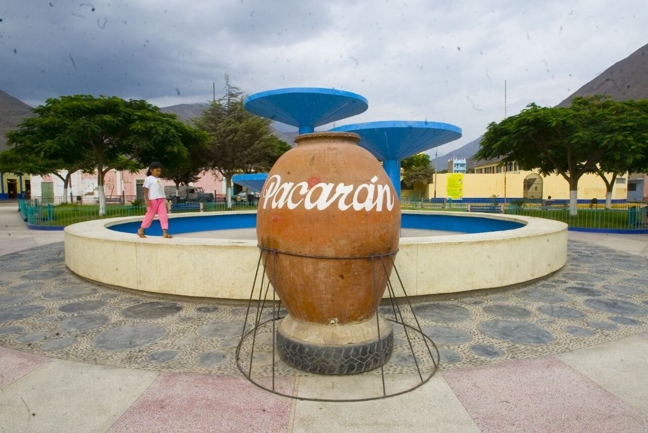 Pacarán. (Foto: Difusión)