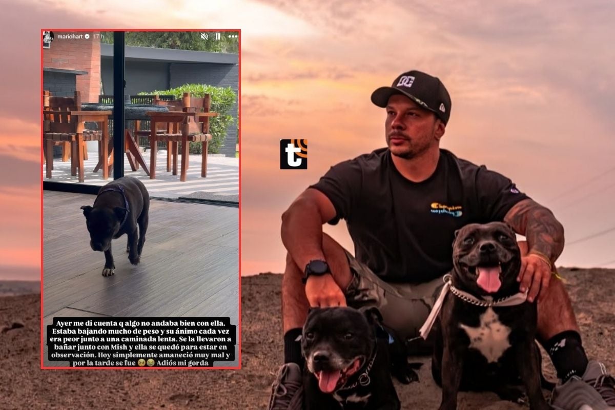 Mario Hart lamenta la partida de su perrita.