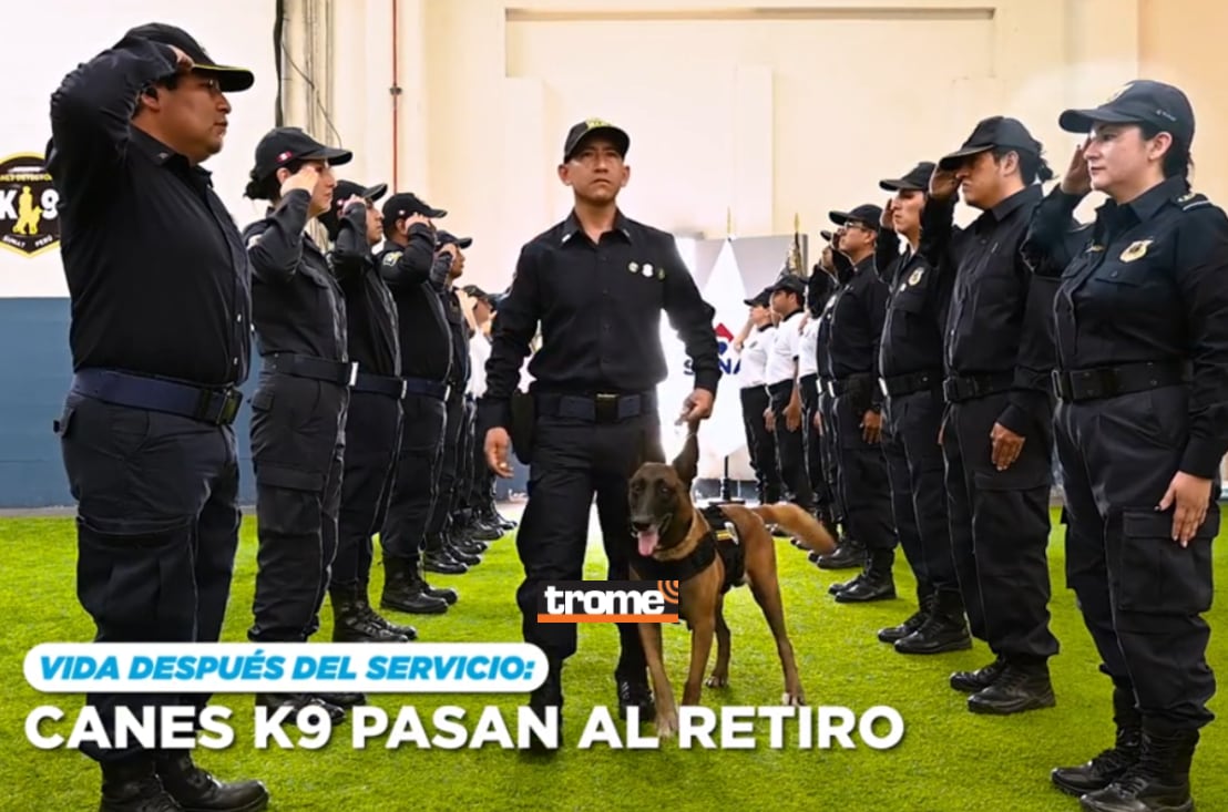 Canes K-9 Sunat y oficiales aduaneros trabajan juntos en servicio del país. (Entrevista: Isabel Medina / Trome).
