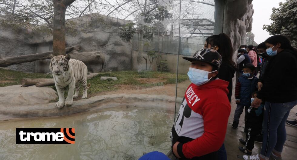 'Civa' y 'Leonarda' recibirán DNI al cumplir etapa de adultez