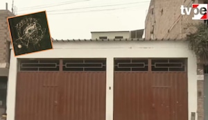 Surco: Balacera en local donde realizaban fiesta chicha deja un muerto y siete heridos | VIDEO