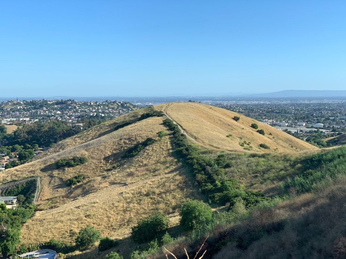 Vista desde lo alto (Foto: Ascot Hills Park)