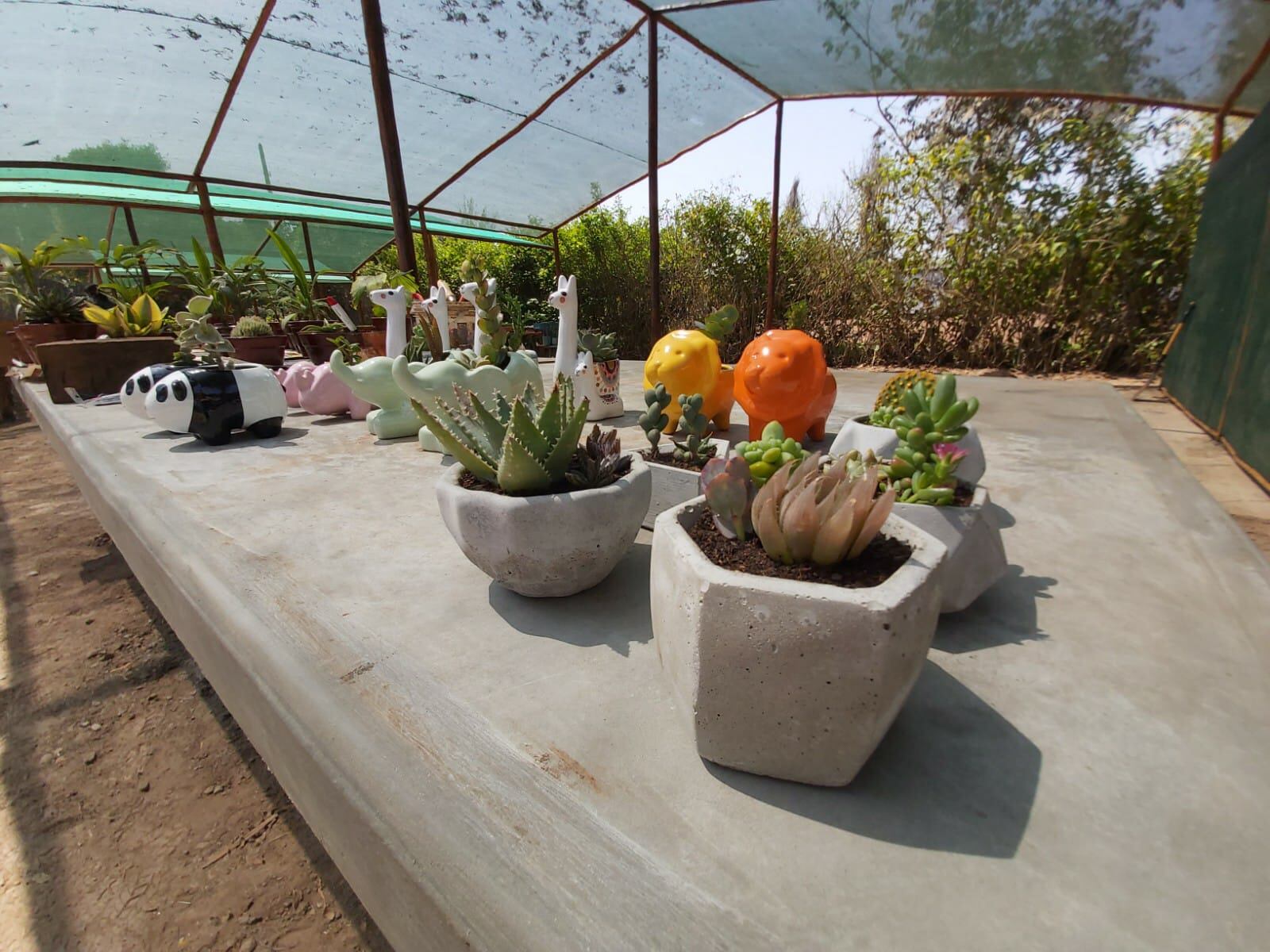 La Municipalidad de Lima informó que los precios de estos productos son accesibles. (Foto: Parque de las Leyendas)