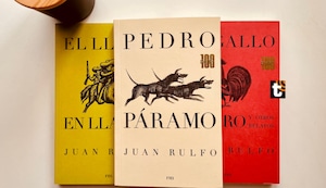 Pedro Páramo y el hombre que buscaba a su padre