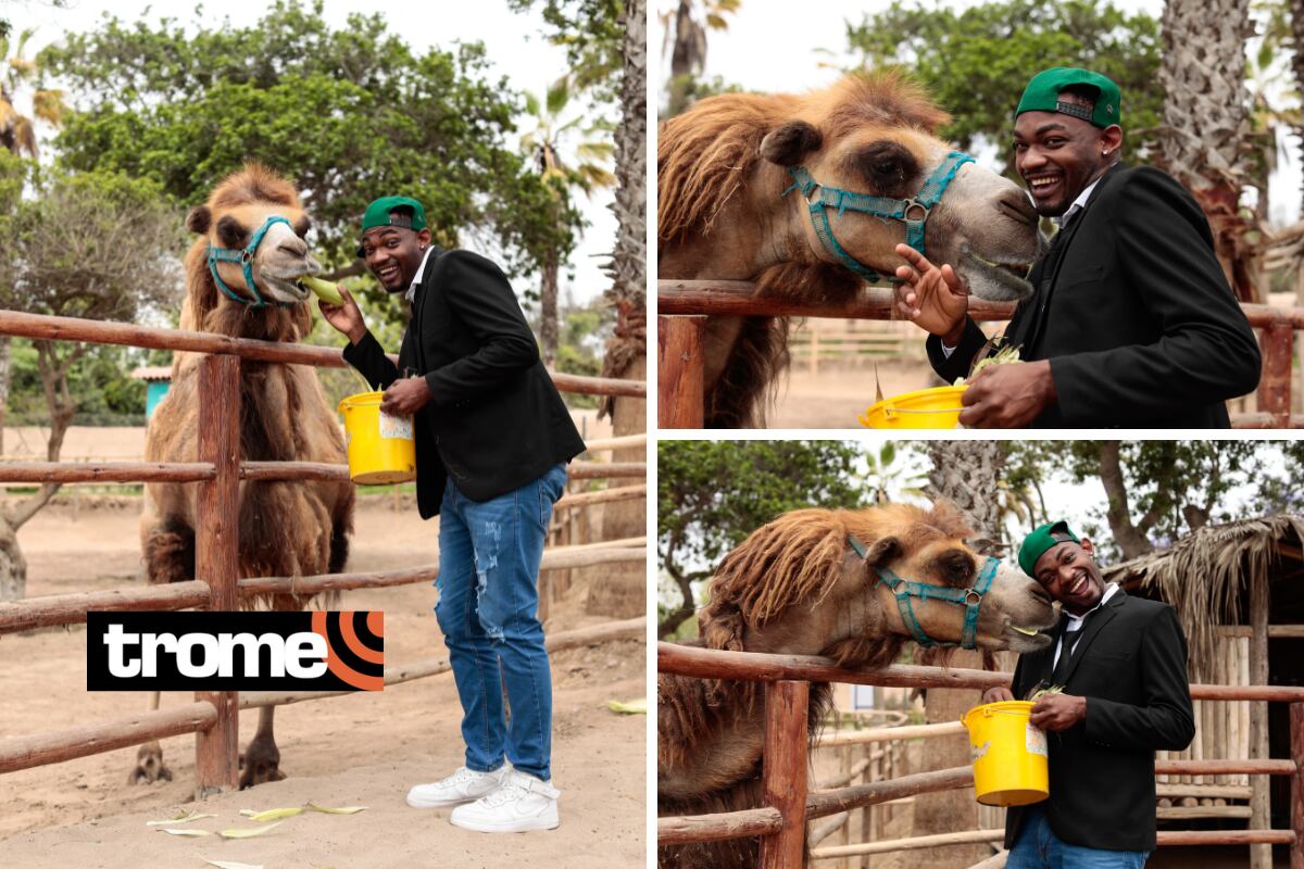 'Will Smith peruano' conoció a camello ‘Khalan’. Foto: Lenin Tadeo