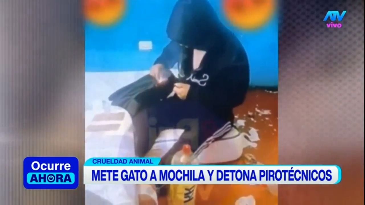Joven se grabó metiendo un gato a una bolsa y prendiéndole pirotécnicos. Foto: ATV
