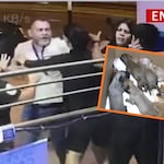 Médico venezolano agrede veterinario por reclamarle abandonó de perritos