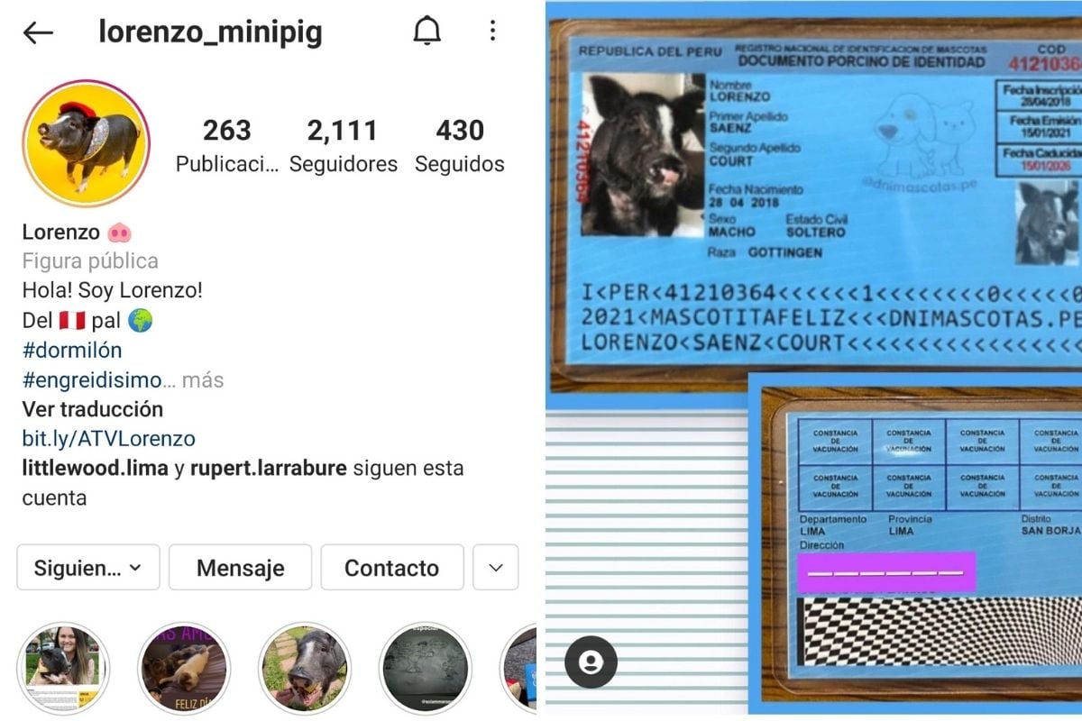 Lorenzo tiene redes sociales y hasta su DNI.