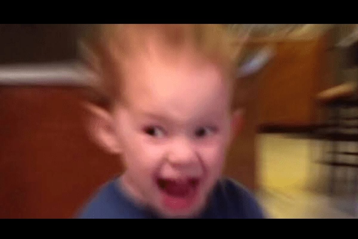 Los memes del Flash Electoral