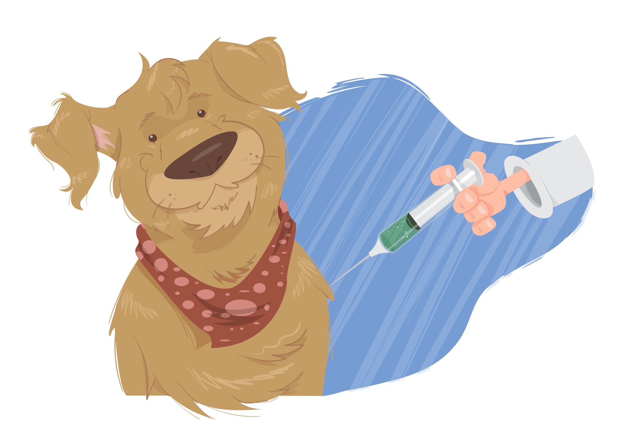 Los signos comunes de leptospirosis en perros incluyen fiebre, vómitos, dolor abdominal, diarrea, falta de apetito, debilidad y dolor muscular intenso. Foto: Istock