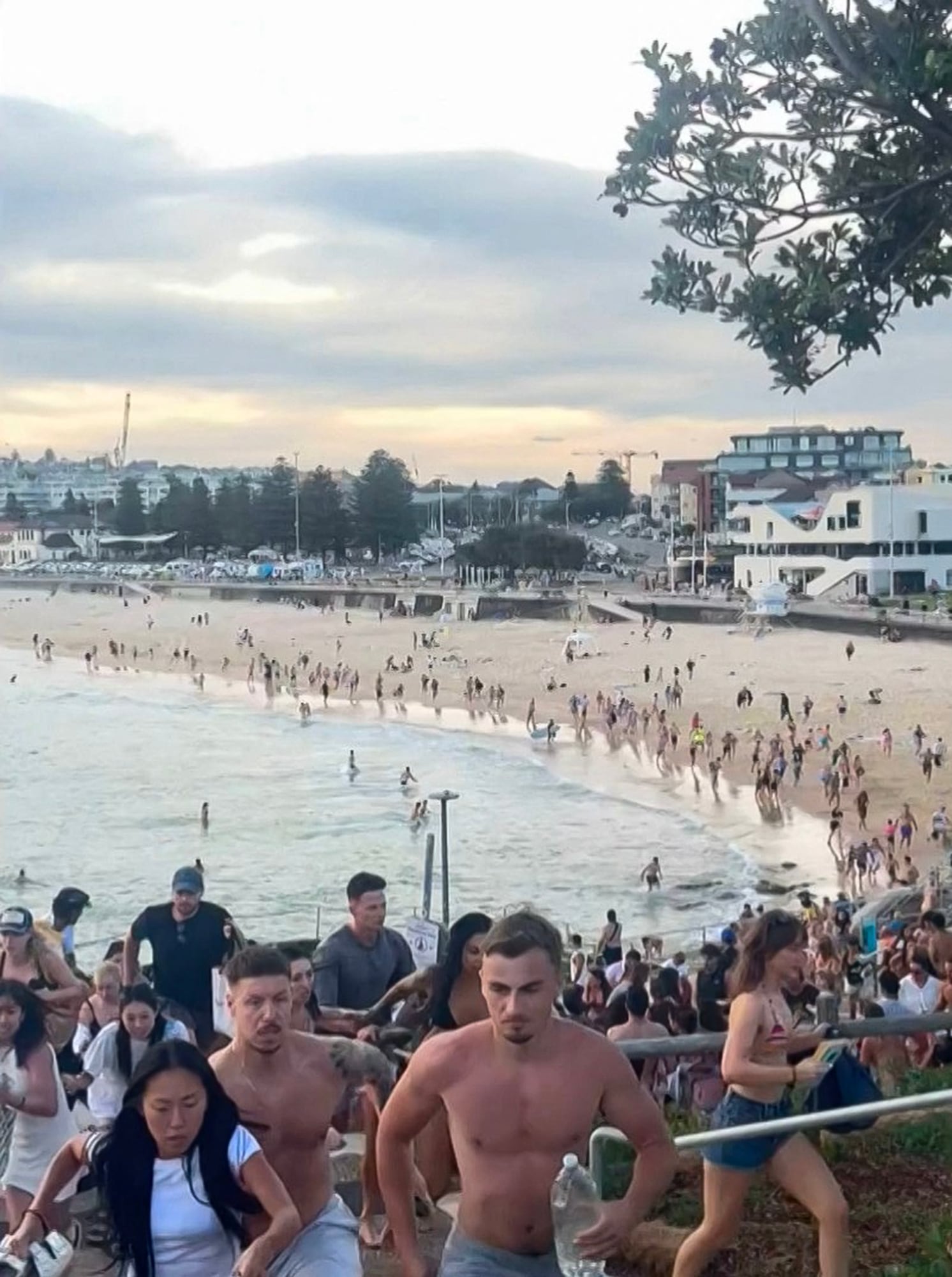 Ataque terrorista en playa de Australia. Foto: Mike Ortiz / UGC / AFP