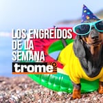 Conoce a los engreídos que conquistaron Trome esta semana