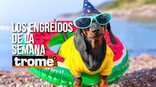 Conoce a los engreídos que conquistaron Trome esta semana