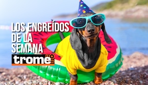 Conoce a los engreídos que conquistaron Trome esta semana