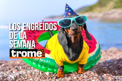 Conoce a los engreídos que conquistaron Trome esta semana