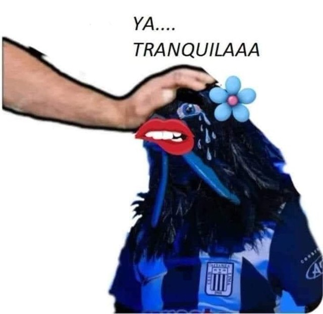No pararás de reir con los memes del Universitario vs. Cienciano.