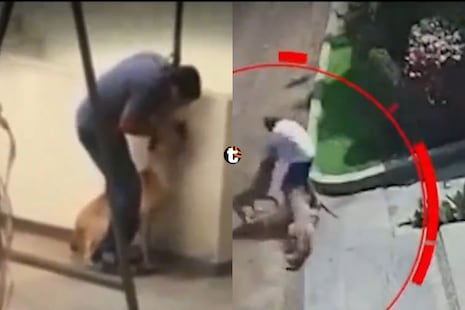 ¡HISTORIAL VIOLENTO! Dueño de perros que dejaron grave a deportista en Pachacámac tiene numerosos anteced...