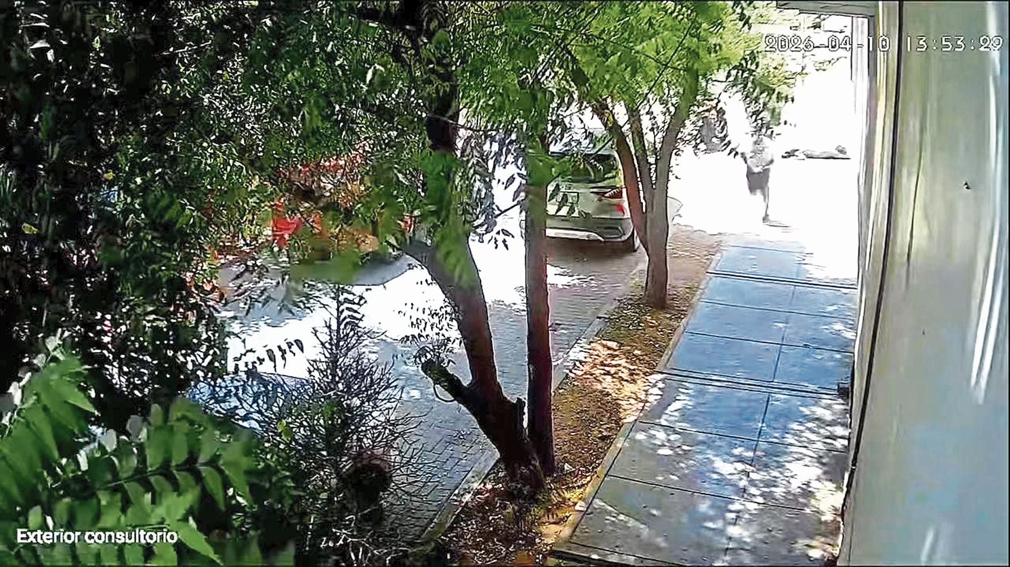 Cámara de video grabó crimen de doctora.