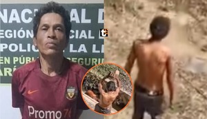 Indignación en Trujillo: Hombre mata brutalmente a perrito a ladrillazos