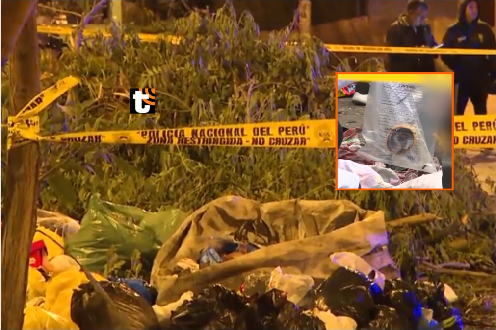 Cuchillo y cinta adhesiva: peritos investigan misterioso crimen en escena