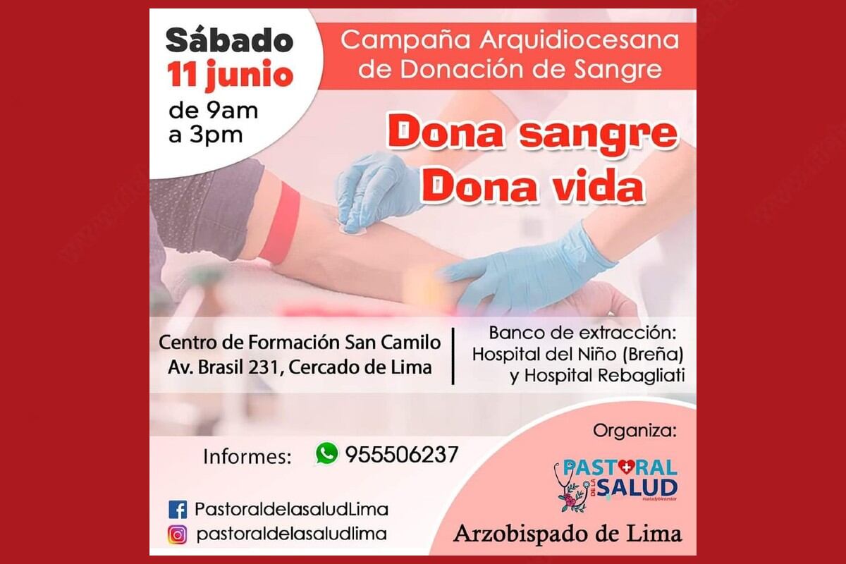 Este sábado 11 de junio se realizará una nueva campaña de donación de sangre. (Dono sangre, dono vida /Trome)