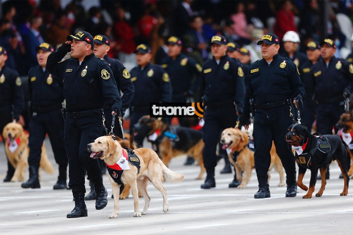 El paso de la policía canina es uno de los momentos favoritos del público en el Desfile Militar. (Foto: GEC)