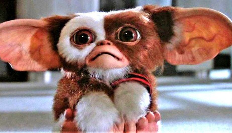 Los Gremlins, de 1984, retornan para quienes se suscriban en HBO Max. (Foto: Warner Bros.)