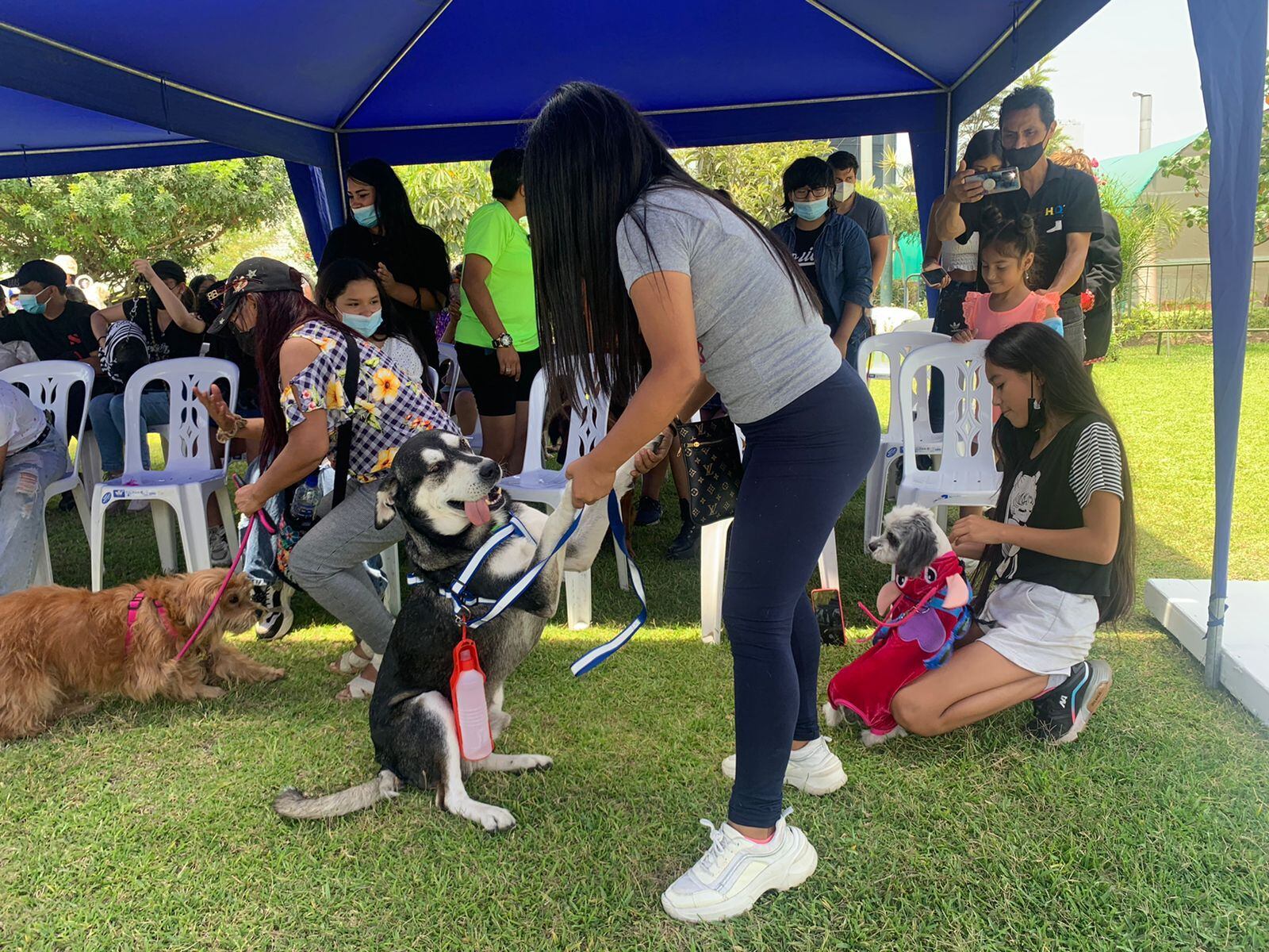 Municipio ha puesto en marcha, durante todo el mes de febrero, la campaña "Adóptame" para promover la adopción de mascotas rescatadas. Foto: Municipalidad de La Victoria