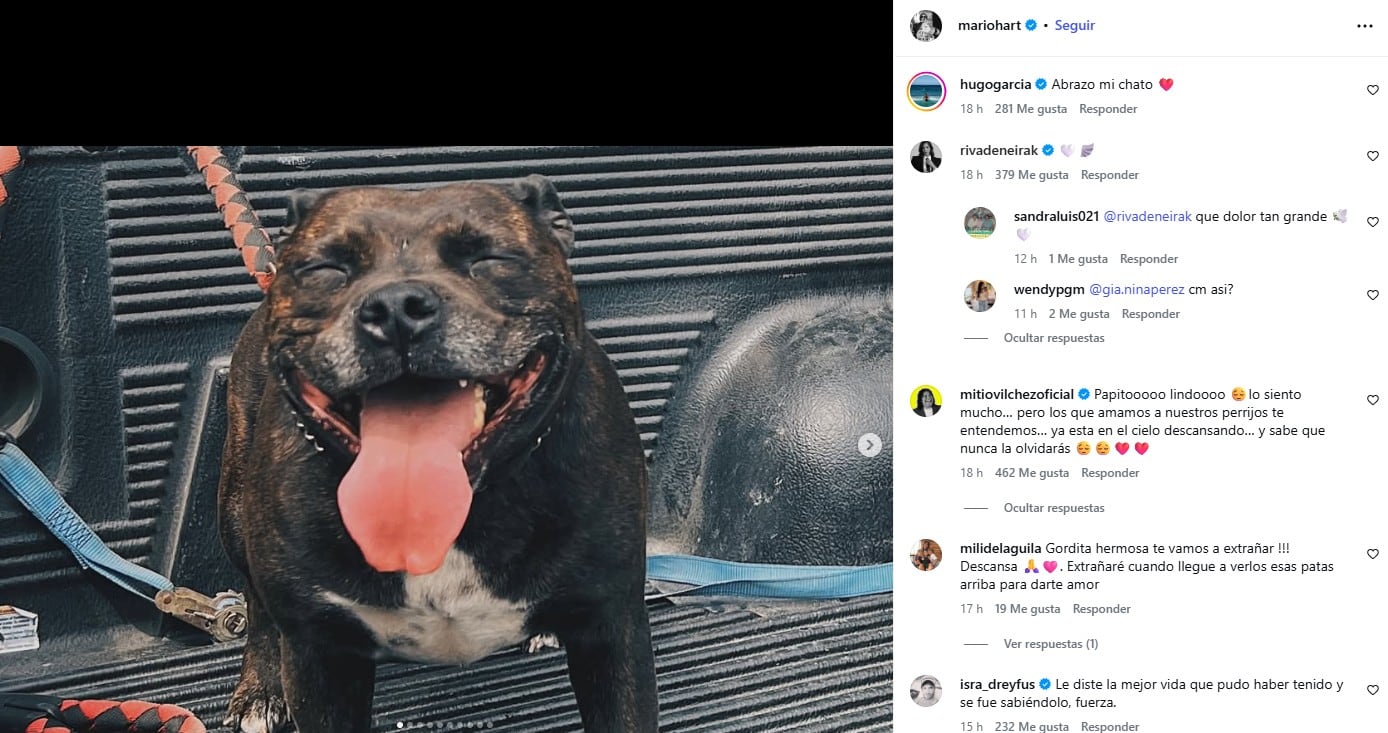 Mario Hart compartió una sensible publicación tras el fallecimiento de su mascota.